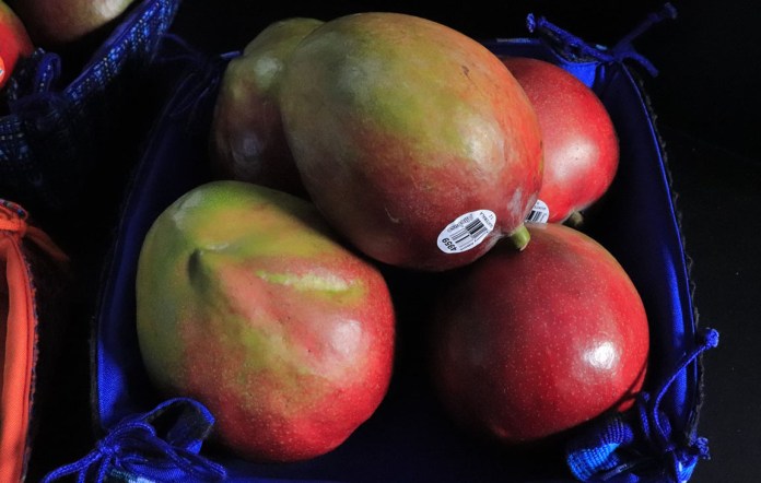 Mango guatemalteco en Estados Unidos, autoridades visitan APHIS para resolver ruta de exportación