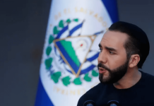 Nayib Bukele
