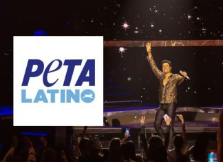 Logo tipo de Peta y Fotografía subida en X de Chayanne en un concierto en México. Foto La Hora: Redes Sociales.