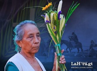 Conservación y reutilización de la palma o rama de olivo bendecidas el Domingo de Ramos