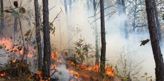 Incendio registrado en El Cordoncillo del municipio de Chinique, Quiché. Foto La Hora: CONRED