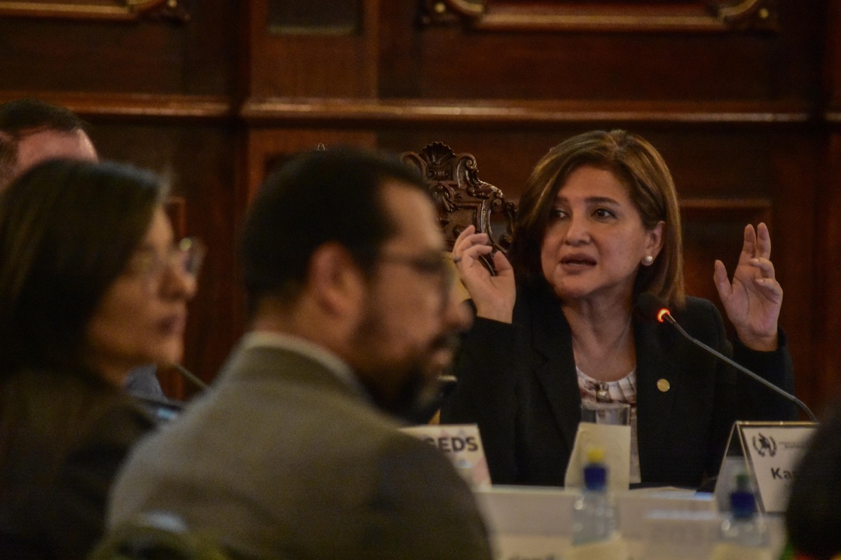 Vicepresidenta habla de la coyuntura de persecución política previo a reunión de Gabinete Social