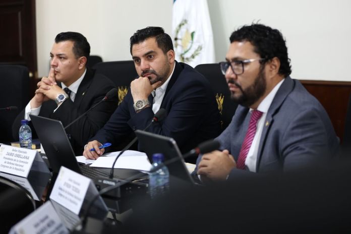 Los integrantes de la comisión de la Defensa del Congreso busca incluir al Cuerpo de Ingenieros del Ejército para atender las carreteras. Foto: Congreso de la República