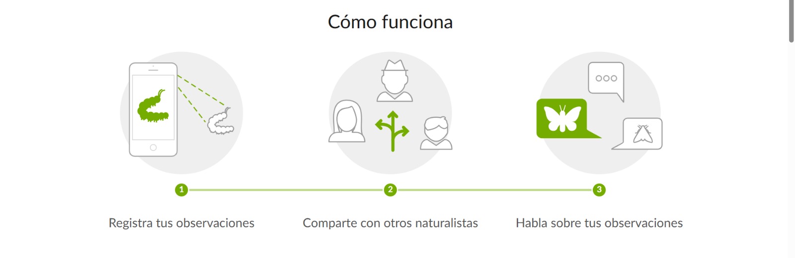 iNaturalist