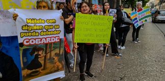 Guatemaltecos manifestaron frente al Congreso contra el maltrato animal. Foto La Hora: Daniel Ramírez.