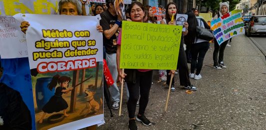 Guatemaltecos manifestaron frente al Congreso contra el maltrato animal. Foto La Hora: Daniel Ramírez.