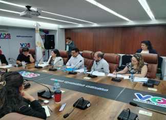 La directora interina del Departamento de Regulación y Control de Productos Farmacéuticos y Afines, Evelyn Meneses, responde de la "presa" para otorgar licencias. Foto: La Hora