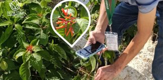 El reto naturalista promueve la observación de especies silvestres para su conservación y cuidado, conoce aquí como participar.