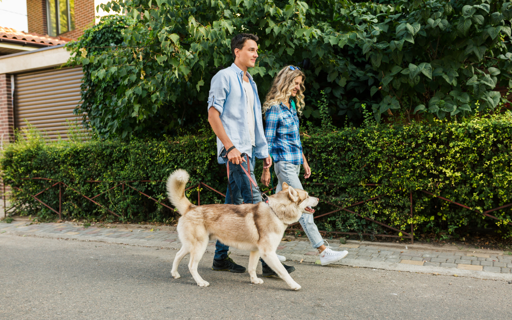 paseo