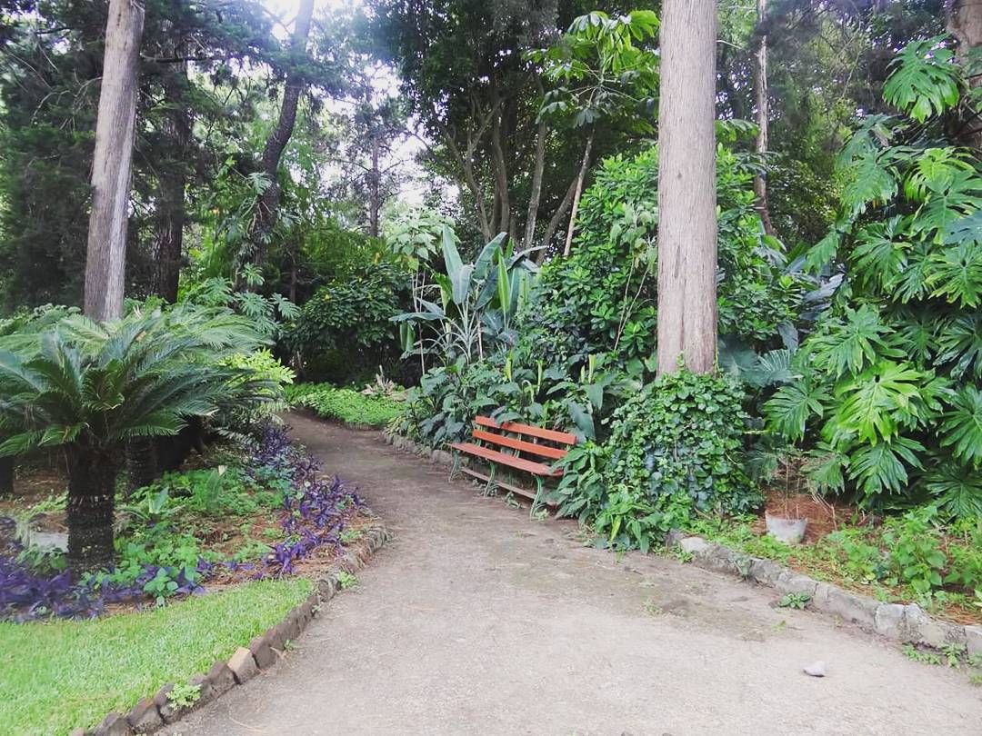Jardin botanico