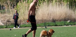 Un hombre paseando a su perro en Londres. Foto La Hora: EFE
