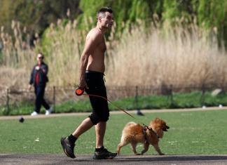 Un hombre paseando a su perro en Londres. Foto La Hora: EFE