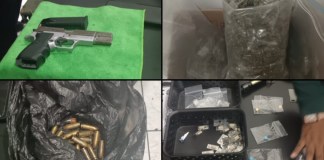 Autoridades localizan armas, municiones exclusivas y drogas durante allanamiento en colonia Berlín