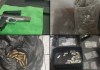 Autoridades localizan armas, municiones exclusivas y drogas durante allanamiento en colonia Berlín