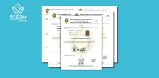 Tramita tus antecedentes penales y policiacos en línea en pocos pasos. 💻 Fácil, rápido y sin hacer filas.