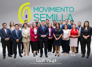 Bancada Semilla