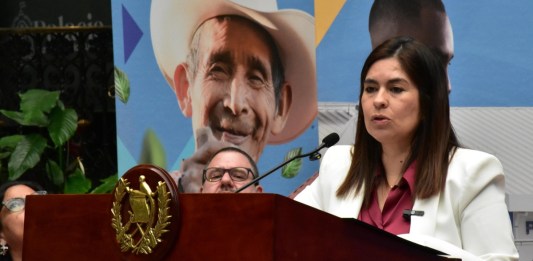 Claudia Palencia Viceministra de MinGob