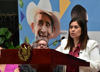 Tras aumento de homicidios viceministra de Antinarcóticos lo atribuye a reestructuración de pandillas y narcomenudeo Claudia Palencia Viceministra de MinGob