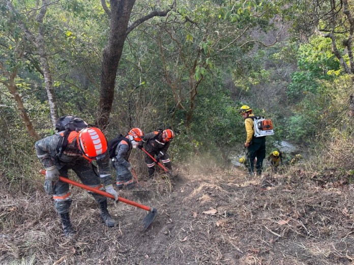 Los incendios forestales son una de las principales causas de desastres ante las lluvias. Foto La Hora. Conred. 