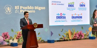 Director del INE sobre 4 encuestas programadas para el 2025