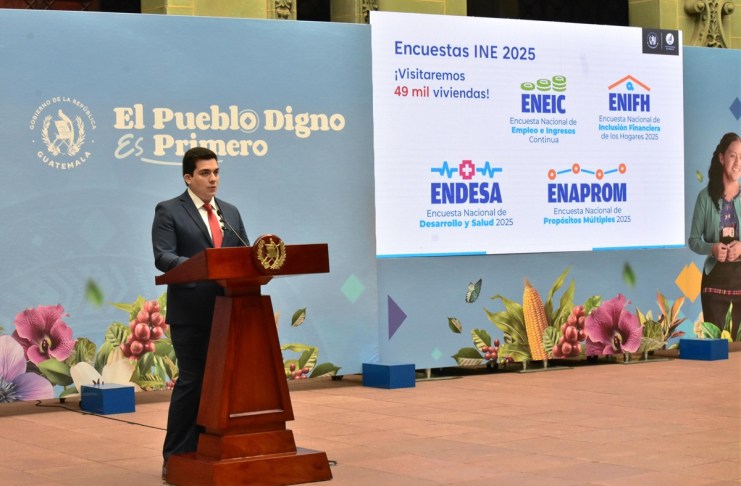 Director del INE sobre 4 encuestas programadas para el 2025
