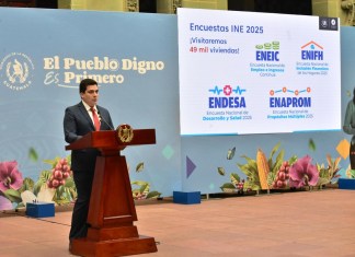 INE anuncia 4 encuestas programadas para el 2025 en 49 mil viviendas Director del INE sobre 4 encuestas programadas para el 2025