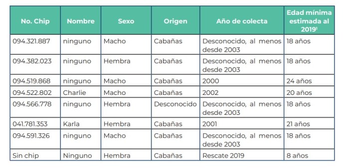 Distribución del reptil endémico de Guatemala. Foto La Hora: Informe Conap.