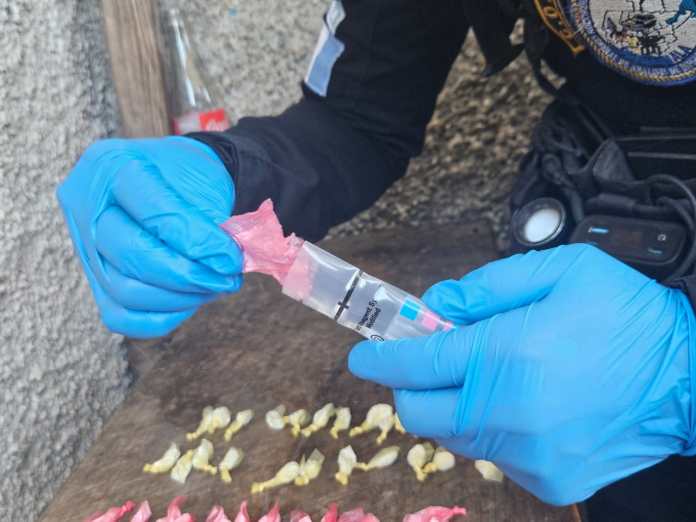 Droga Dos guardias penitenciarios y 8 reos puestos a disposición de un juez tras requisa en cárcel de Petén