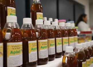 El alimento que nunca caduca Descubre como identificar la verdadera miel