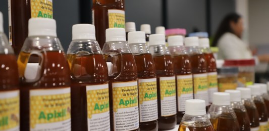 El alimento que nunca caduca Descubre como identificar la verdadera miel