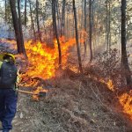 En los departamentos donde hay altas temperaturas, se registran más incendios. Foto La Hora: Conred.