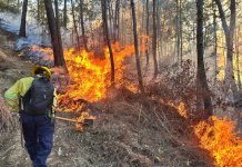 En los departamentos donde hay altas temperaturas, se registran más incendios. Foto La Hora: Conred.