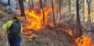 En los departamentos donde hay altas temperaturas, se registran más incendios. Foto La Hora: Conred.