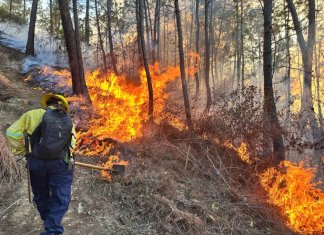 En los departamentos donde hay altas temperaturas, se registran más incendios. Foto La Hora: Conred.