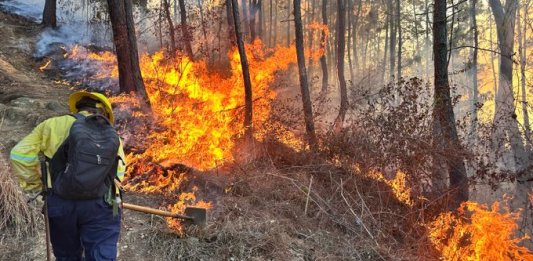 En los departamentos donde hay altas temperaturas, se registran más incendios. Foto La Hora: Conred.