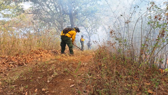 Los cuerpos de socorro en conjunto con la Conred, han combatido varios incendios en el país. Foto La Hora: Conred.