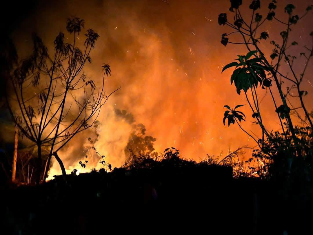 Más de 1,500 incendios forestales han sido liquidados en el país en lo que va del año, según Conred