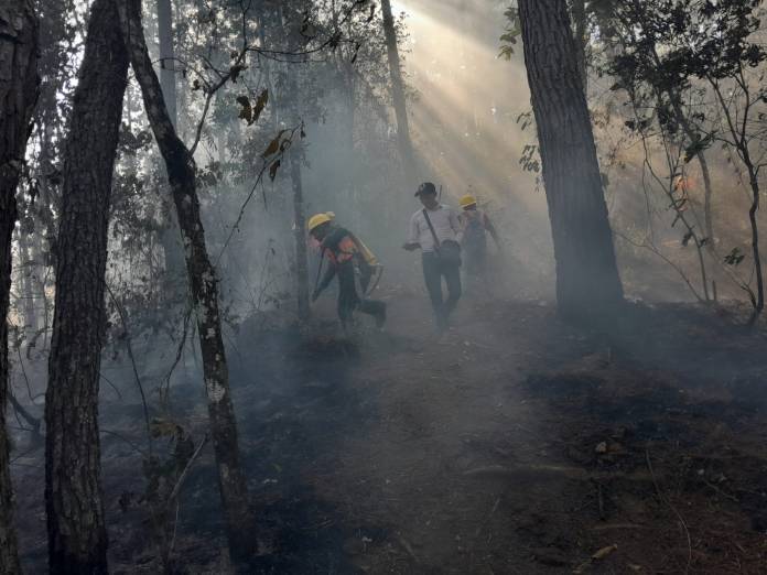 Los incendios forestales pueden ser provocados por las altas temperaturas o el descuido del ser humano. Foto La Hora: Conred. 