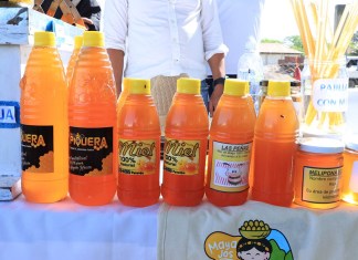 Guatemala ha exportado más de Q2 millones en miel de abeja. Foto La Hora: MAGA.