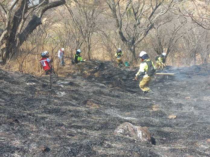 Incendios Forestales (1) En la actual temporada de incendios forestales 2025, se mantienen activos, al domingo 4 de mayo, 17 incendios activos. Foto La Hora: Conred.