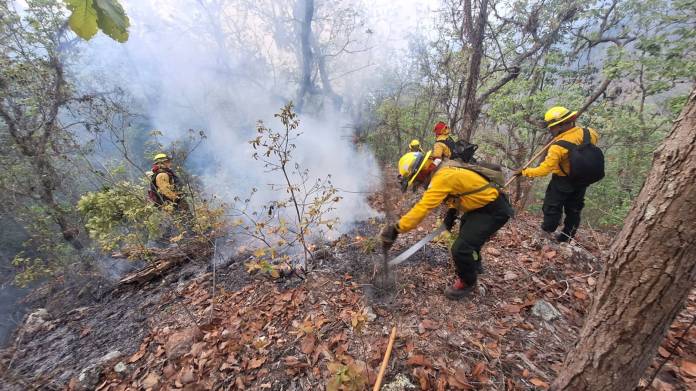 Petén, Guatemala y Sacatepéquez reportan incendios activos, según Conred