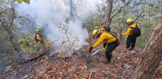 Petén, Guatemala y Sacatepéquez reportan incendios activos, según Conred