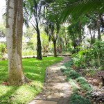 El Jardín Botánico ofrece un recorrido por la riqueza vegetal del país, en medio del paisaje capitalino.