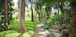 El Jardín Botánico ofrece un recorrido por la riqueza vegetal del país, en medio del paisaje capitalino.