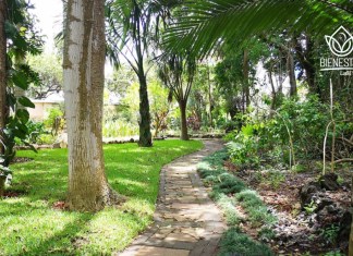 El Jardín Botánico ofrece un recorrido por la riqueza vegetal del país, en medio del paisaje capitalino.