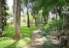 El Jardín Botánico ofrece un recorrido por la riqueza vegetal del país, en medio del paisaje capitalino.