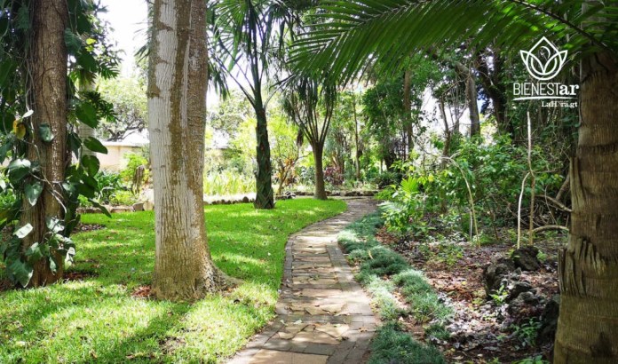Jardin botanico El Jardín Botánico ofrece un recorrido por la riqueza vegetal del país, en medio del paisaje capitalino.