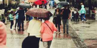 Este mes comenzarán las lluvias, por lo que es importante tomar algunas medidas preventivas. Imagen: Canva.