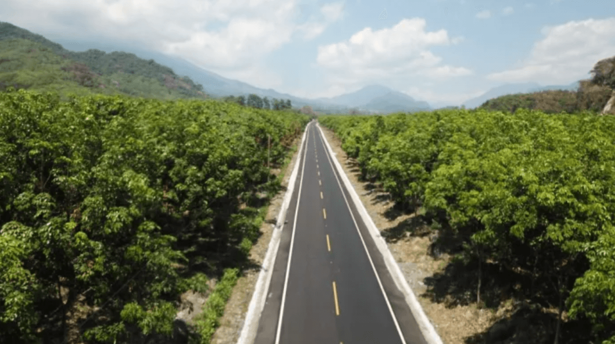 Cuáles son los 48 países que pueden presentar ofertas para ampliar a 4 carriles la ruta al Atlántico