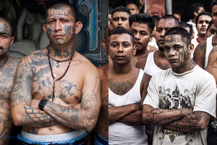 MS-13 y B18 El Ministerio de Gobernación (Mingob) atribuye el alza de los homicidios a las disputas entre pandillas por el liderazgo de las calles y terrenos controlados.